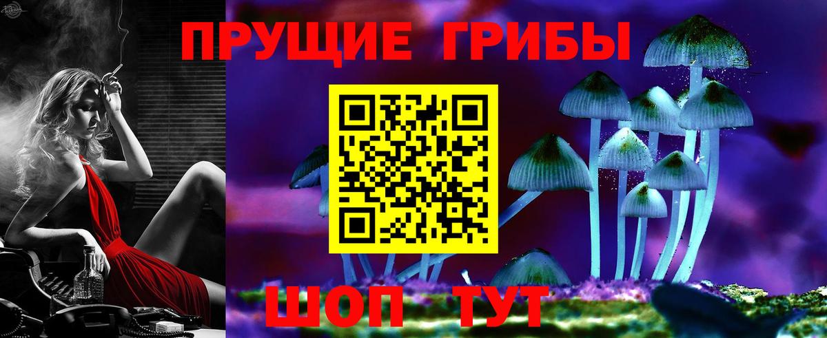 Галлюциногенные грибы Cubensis Ялуторовск