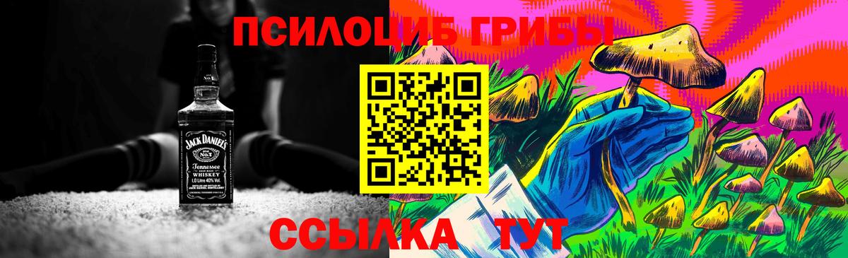 купить наркотик  Вход с VPN  Ялуторовск  Галлюциногенные грибы прущие грибы 